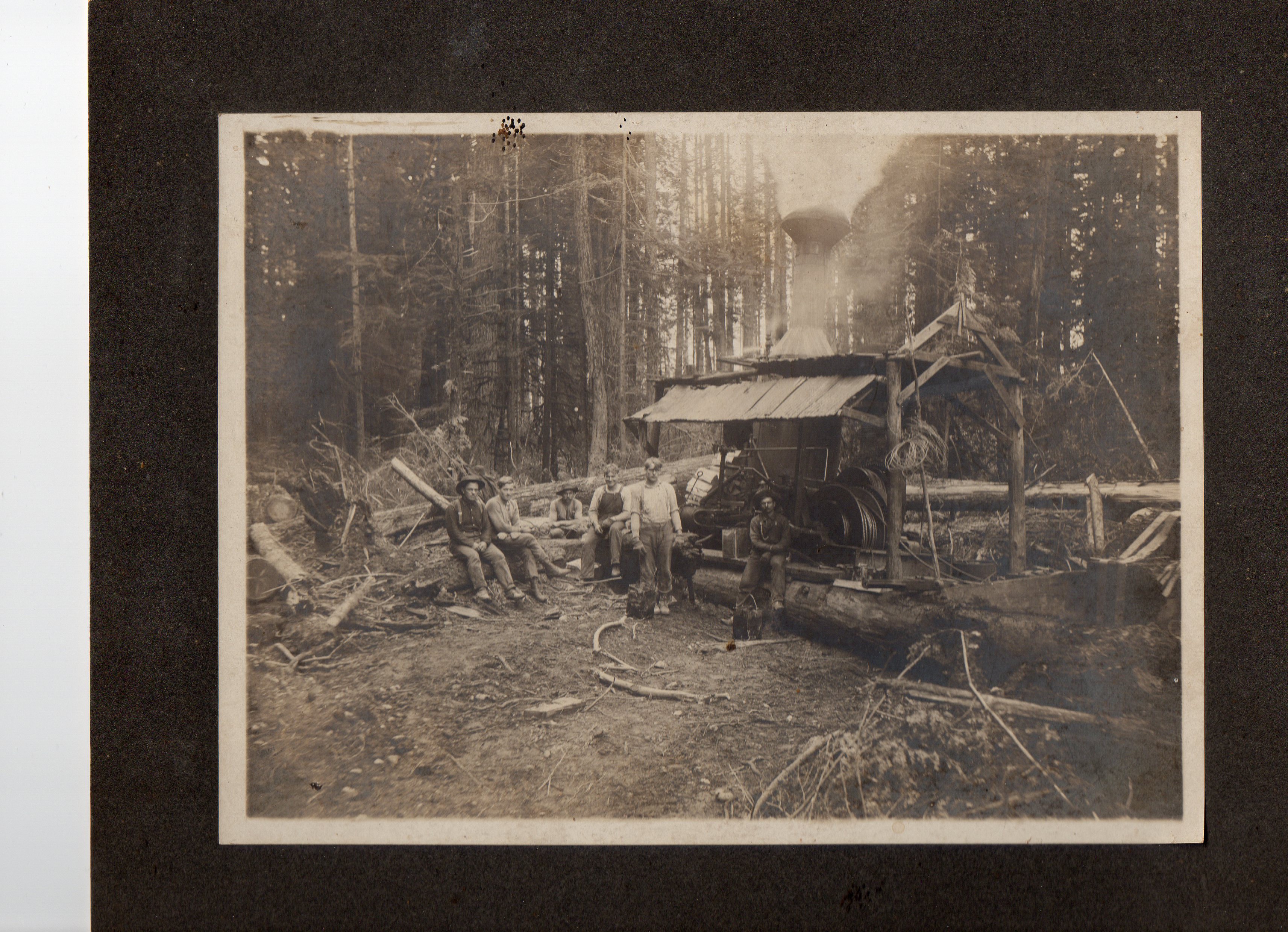 Logging Camp